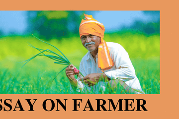 Essay on Farmer | Essay on Indian Farmer