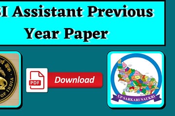 RBI Assistant Previous Year Paper