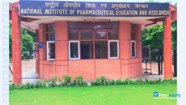 National Institute of Pharmaceutical Education and Research Raebareli